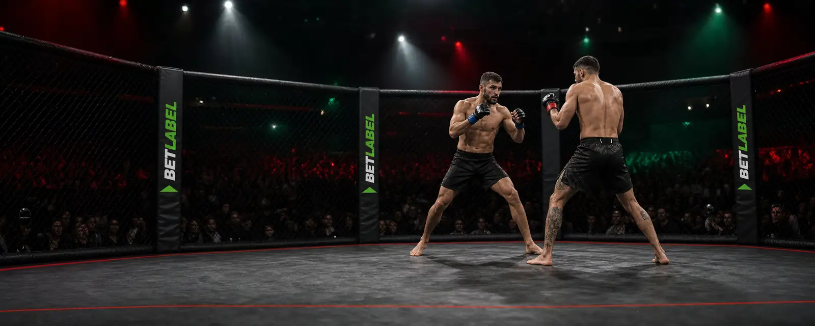Atletas adultos de artes marciais com a marca BetLabel